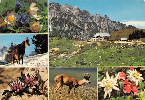 Cartolina Rifugio Giuriolo Campogrosso 1973 vedute varie (Vicenza)