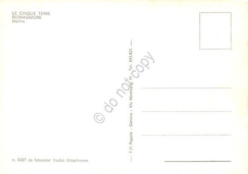 Cartolina Riomaggiore panorama dalla marina