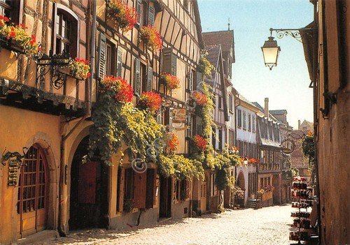 Cartolina Riquewihr Alsace Vielles maisons