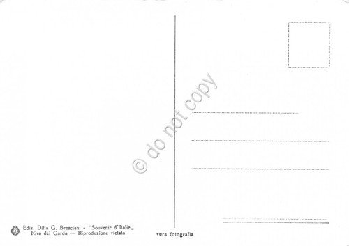Cartolina Riva del Garda veduta panoramica dalla punta (Brescia)