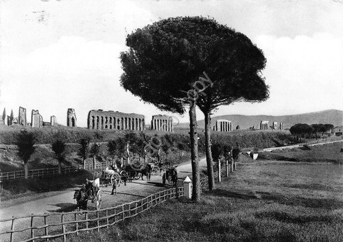 Cartolina Roma Via Appia Carri contadini cavalli