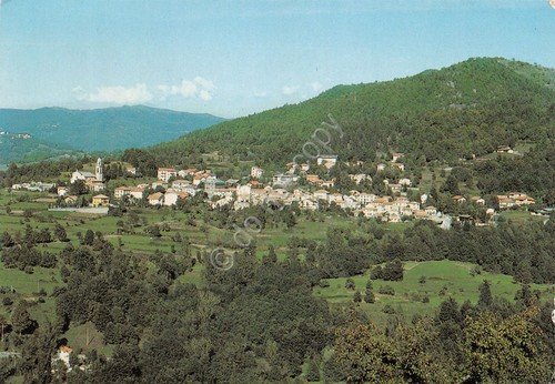 Cartolina Rovegno panorama 1989
