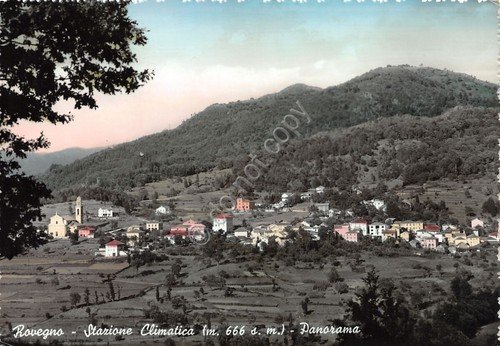 Cartolina Rovegno panorama colorata anni '50