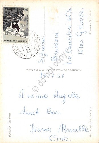 Cartolina Rovegno Via Roma da arco con auto d'epoca 1967