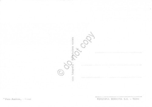 Cartolina Russi di Romagna Panorama anni '50