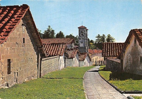 Cartolina S. Eremo di Camaldoli il viale di mezzo | Immagine principale