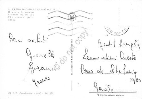 Cartolina S. Eremo di Camaldoli il viale di mezzo | Immagine Gallery 2