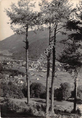Cartolina S. Maria Maggiore Val Vigezzo Panorama 1951 | Immagine principale