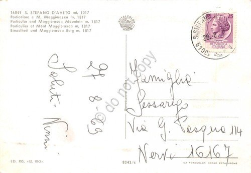 Cartolina S. Stefano d'Aveto prato con fieno e case 1969