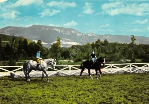 Cartolina Salice Terme campo ippico cavalli maneggio fantini 1970 colorata | Immagine principale