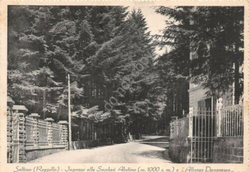 Cartolina Saltino Reggello Albergo Panorama ingresso alle Secolari Abetine | Immagine principale