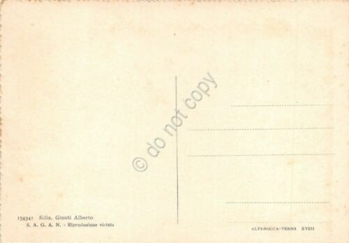 Cartolina Saltino Reggello Albergo Panorama ingresso alle Secolari Abetine | Immagine Gallery 2