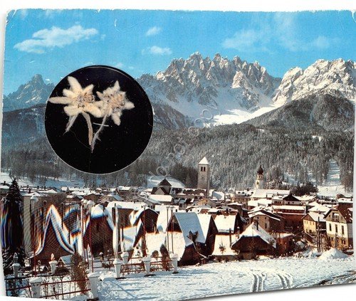 Cartolina San Candido Innichen 1976 panorama con stella alpina