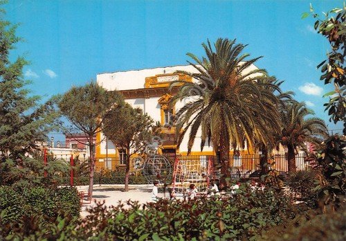 Cartolina San Ferdinando di Puglia Municipio 1982 giardino animata bambini