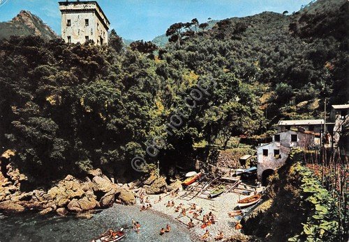 Cartolina San Fruttuoso di Camogli 1972 la baia animata barche | Immagine principale
