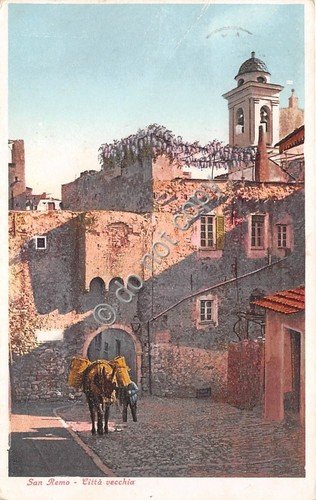Cartolina San Remo Città vecchia animata mulo anni '50 | Immagine principale