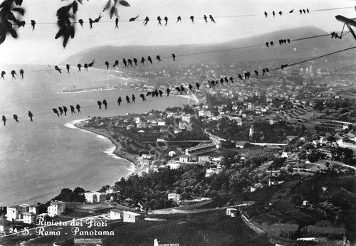 Cartolina San Remo Panorama dall'alto uccelli su fili elettrici 1964 …