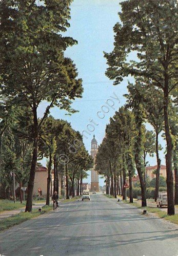 Cartolina San Vito al Tagliamento Viale Madonna di Rosa 1966 … | Immagine principale