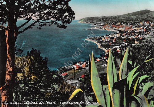 Cartolina Sanremo Panorama da Levante colorata anni '60 (Imperia)