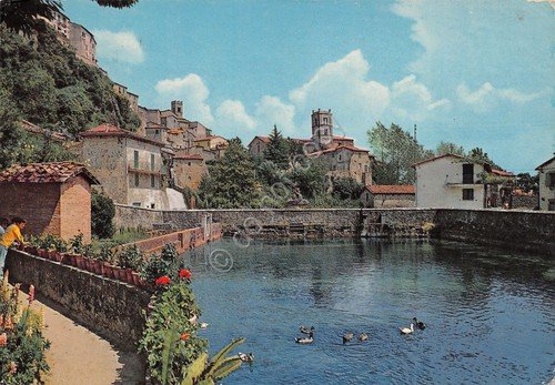 Cartolina Santa Fiora La Peschiera 1981 | Immagine principale