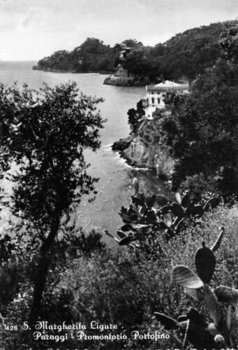 Cartolina Santa Margherita Ligure Paraggi Promontorio Portofino 1953