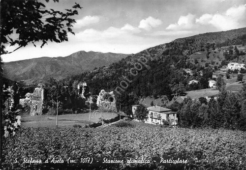 Cartolina Santo Stefano d'Aveto panorama parziale 1954