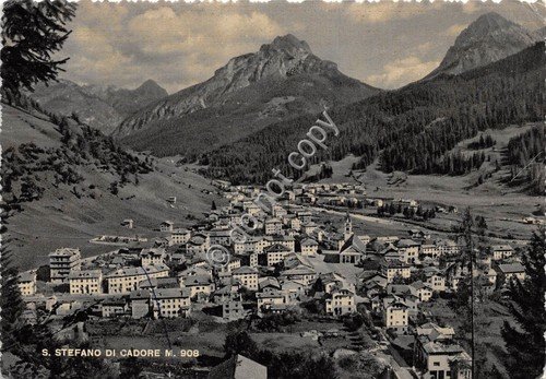 Cartolina Santo Stefano di Cadore panorama 1954 (Belluno) | Immagine principale