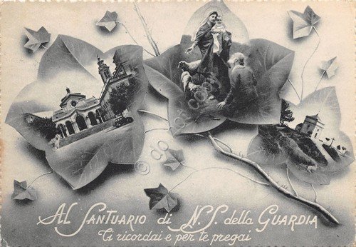 Cartolina Santuario N. Signora della Guardia illustrata vedute 1954 (Genova) | Immagine principale