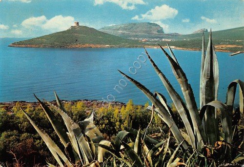 Cartolina Sardegna Capo Caccia 1970 (Sassari) | Immagine principale