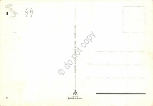 Cartolina Sardegna Castelsardo vedute aragosta (Sassari)