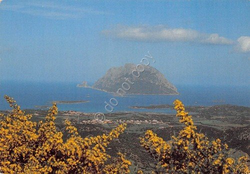 Cartolina Sardegna Isola di Tavolara e Porto San Paolo 1988 … | Immagine principale