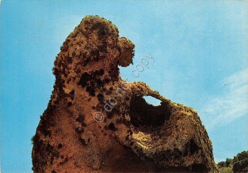 Cartolina Sardegna La Maddalena Il Barboncino 1972 (Sassari)