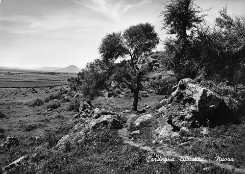 Cartolina Sardegna Nuoro Sentiero | Immagine principale
