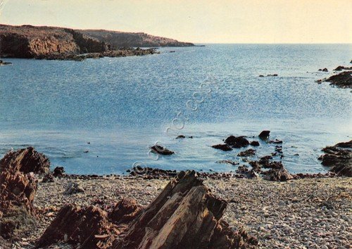 Cartolina Sardegna Stintino Coscie di Donna 1981 (Sassari)