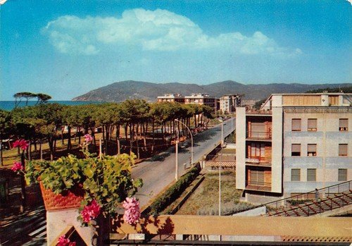 Cartolina Sarzana Marinella via e edifici