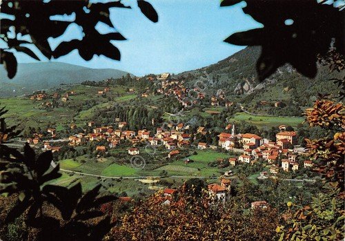 Cartolina Savignone Panorama 1969