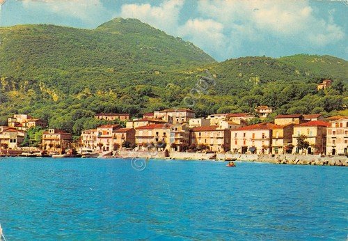 Cartolina Scario panorama dal mare 1979 (Salerno)