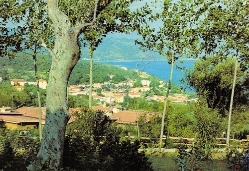 Cartolina Scario Panorama parziale dall'alto case anni '80