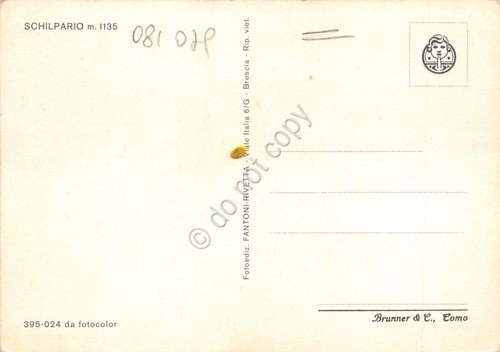 Cartolina Schilpario vedute (Bergamo) | Immagine Gallery 2