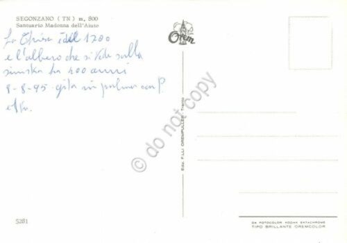 Cartolina Segonzano Santuario Madonna dell' Aiuto (Trento) | Immagine Gallery 2