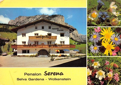 Cartolina Selva Gardena Pensione Serena vedute (Bolzano)