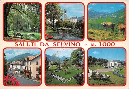 Cartolina Selvino 6 vedute panorama mucche paese (Bergamo) | Immagine principale