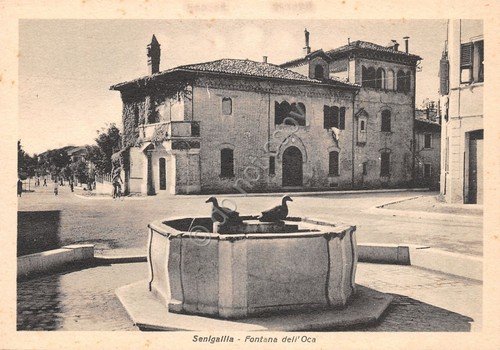 Cartolina Senigallia Fontana dell'Oca