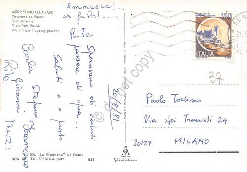 Cartolina Senigallia panorama aereo 1981 (Ancona) | Immagine Gallery 2