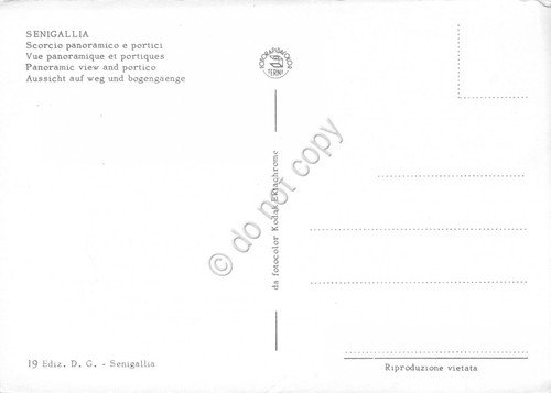 Cartolina Senigallia panorama e portici | Immagine Gallery 2