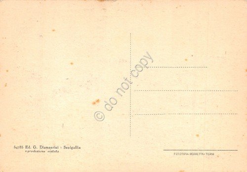 Cartolina Senigallia Portici Ercolani Lungo Misa animata | Immagine Gallery 2