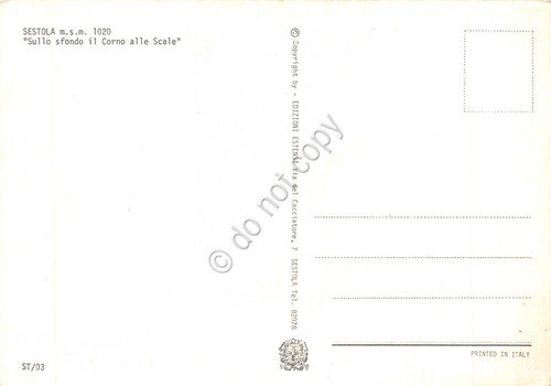 Cartolina Sestola panorama e Corno alle Scale (Modena)