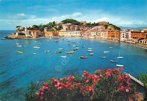 Cartolina Sestri Levante La Penisola baia del Silenzio 1971 (Genova)