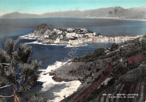 Cartolina Sestri Levante la penisola da Levante 1957 (Genova) | Immagine principale