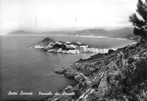 Cartolina Sestri Levante la penisola da levante panorama dall'alto 1965